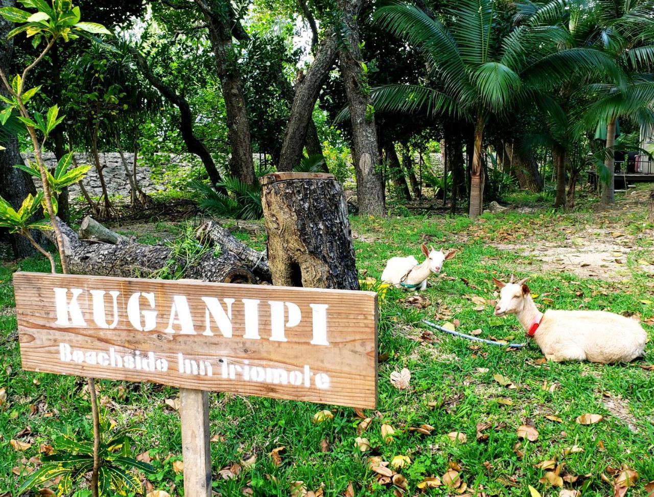 Kuganipi Beachside Inn Iriomote Urauchi Eksteriør billede